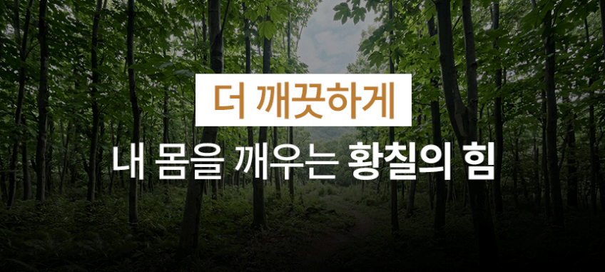 숲과 황칠 원료를 표현한 이미지